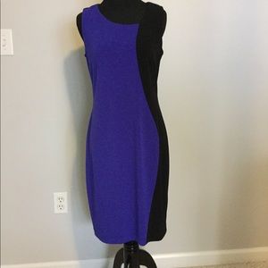 Professional fitted sheath dress